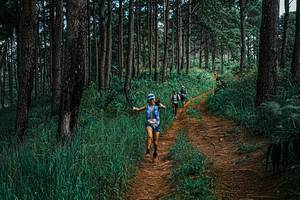 BIB: 
                            <button type="button" onclick="openModal(25659974)" class="btn btn-primary btn-sm float-right btn-popup" data-toggle="modal" data-target=".modal-high-quality">
                        <i class="fas fa-shopping-cart"></i> Add to Cart
                    </button>
                                            <button type="button" onclick="isThisMe(25659974, true)" class="btn btn-success btn-sm float-right btn-popup btn-isme hidden" data-toggle="tooltip" data-placement="bottom" title="นี่คือรูปของคุณใช่ไหม คลิกที่นี่เพื่อเอาเข้าอัลบั้ม">
                        <i class="fas fa-plus"></i> Add to album
                    </button>
                    <button type="button" onclick="isThisMe(25659974, false)" class="btn btn-warning btn-sm float-right btn-popup btn-isnotme hidden">
                        <i class="fas fa-ban"></i> Remove from album
                    </button>